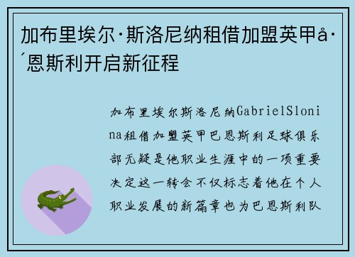 加布里埃尔·斯洛尼纳租借加盟英甲巴恩斯利开启新征程